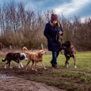 Annie Thea und Cooper