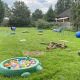 Welpenparcour