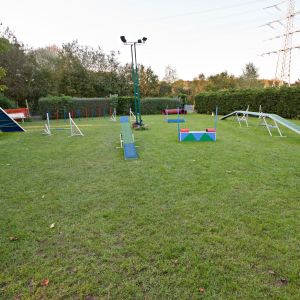 Hundeschule